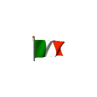 Icona dell'applicazione